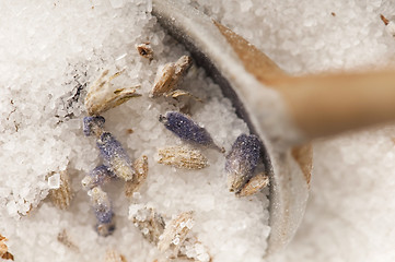 Image showing Lavender Sugar