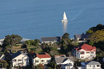 Image showing Evans Bay yacht