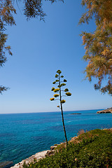 Image showing Coastline in Greece