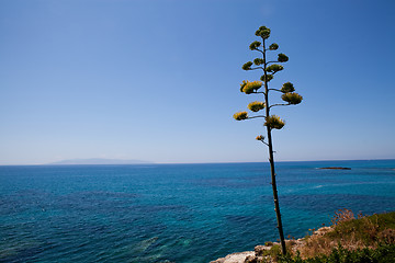 Image showing Coastline in Greece