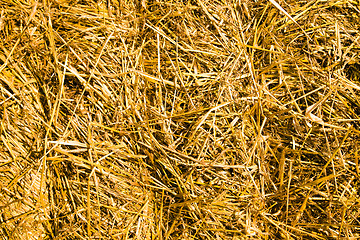 Image showing Straw in a stack 