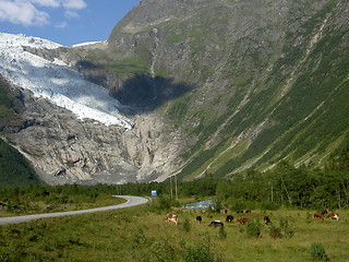 Image showing Bøyabreen