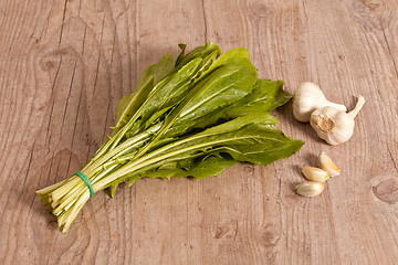 Image showing Chicory