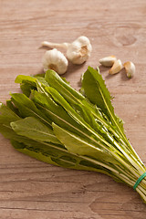 Image showing Chicory