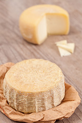 Image showing Pecorino Cheese