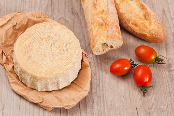 Image showing Pecorino Cheese