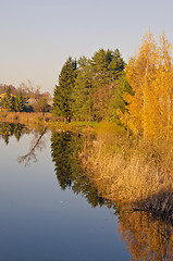 Image showing Lake with reflection of colored leaves trees.