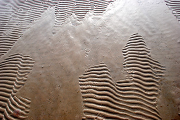 Image showing Imprints on beach sand 