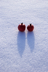 Image showing Southenrn fruits 