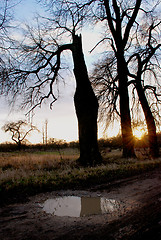 Image showing Abandoned avenue 