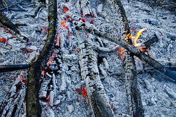 Image showing Burning branches, embers and flame.