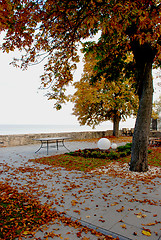 Image showing Late autumn Villa yard 