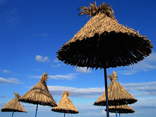 Image showing Beach umbrella