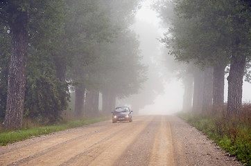 Image showing Machine in fog submerged gravel tree avenue.