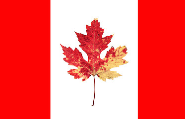 Image showing canada flag
