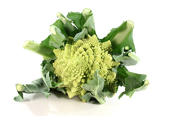 Image showing fresh Romanesco broccoli