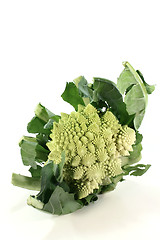 Image showing Romanesco broccoli