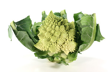 Image showing fresh bright Romanesco broccoli