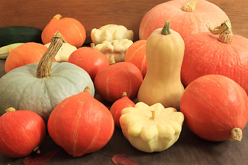 Image showing Pumpkins and squashes