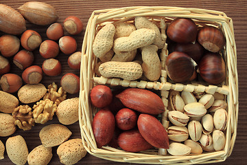 Image showing Nut varieties