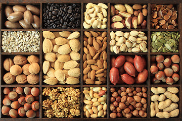 Image showing Nut varieties