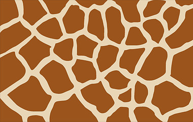 Image showing giraffe texture