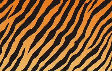 Image showing tiger texture