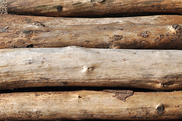 Image showing Pile of log