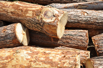 Image showing Pile of log