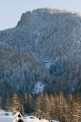 Image showing Winter in Pragelato