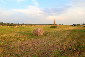 Image showing hay bales in a field