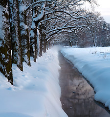 Image showing Winter park stream in snow