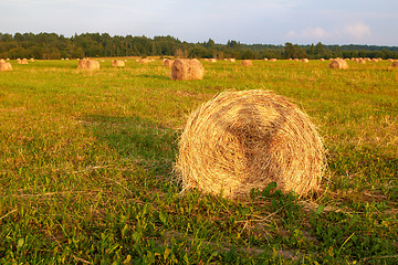 Image showing Hay Bales with girl shadow