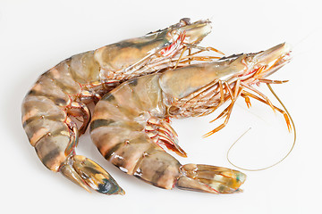 Image showing Gambas