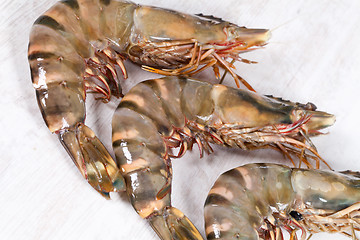 Image showing Gambas