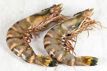 Image showing Gambas