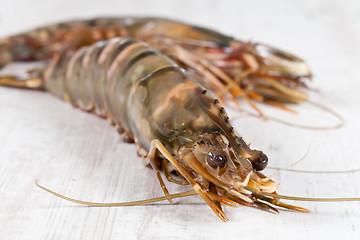 Image showing Gambas