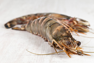 Image showing Gambas