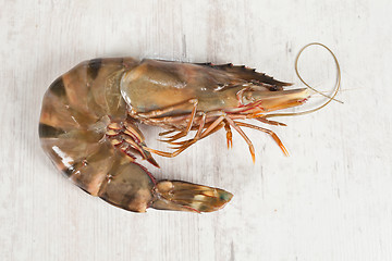 Image showing Gambas