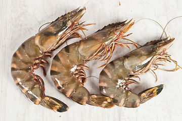 Image showing Gambas