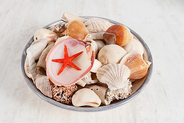 Image showing Sea shells