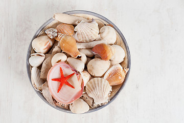 Image showing Sea shells