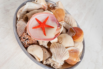 Image showing Sea shells