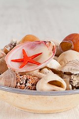 Image showing Sea shells