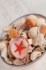 Image showing Sea shells