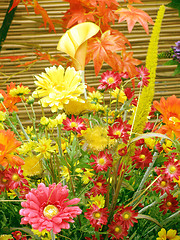 Image showing autumnal flowers