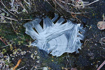 Image showing Frozen water