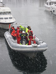 Image showing RIB in Lofoten Islands