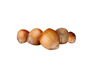 Image showing Nutshells