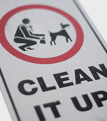 Image showing No dog poop sign